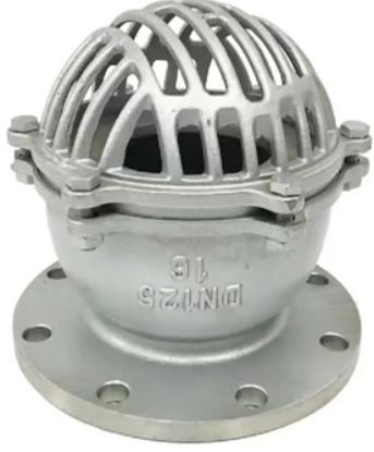 Hình ảnh của Rọ bơm mặt bích inox DN125 16