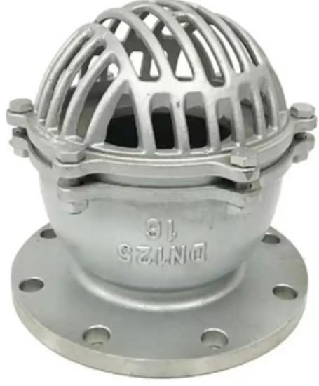 Hình ảnh của Rọ bơm mặt bích inox DN125 16